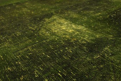 Carpetido Design Vintage-Teppich Grün in 280x200 (8 / 9)