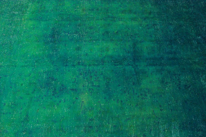 Vintage Teppich Grün in 400x270 (8 / 9)