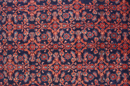 Traditional Vintage Rug Lilihan in 310x210 (7 / 8)