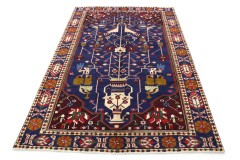 Traditional Vintage Rug Bakhtiari in 310x210