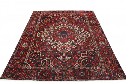 Traditional Vintage Rug Bakhtiari in 370x310