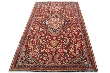 Traditional Vintage Rug Hamadan in 290x170